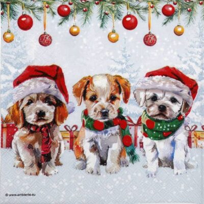Single Decoupage Napkin - Funny cute puppies