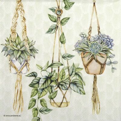 Single Paper Napkin - Hanging Plants