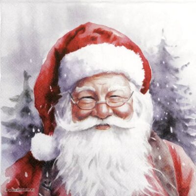 Paper Napkins - Happy Santa (20 pieces)