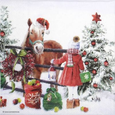Single Decoupage Napkin - Horse girl