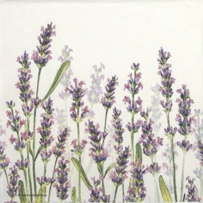 Single Paper Napkin -Lavender Shades White