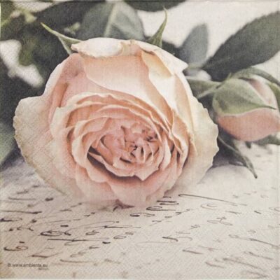 Single Paper Napkin - Mary Vintage