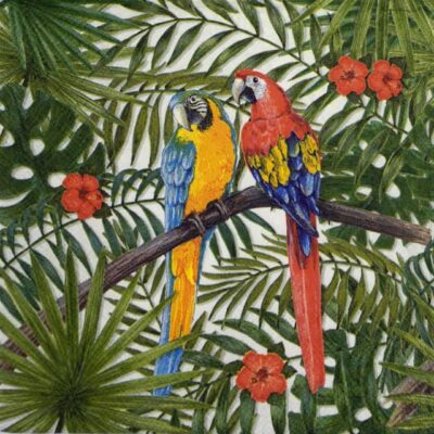 Single Decoupage Napkin - Parrots