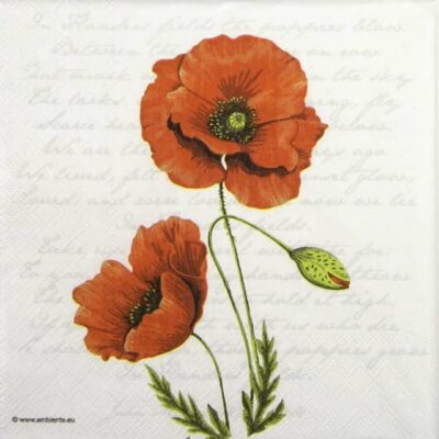Cocktail Paper Napkin - Proud Poppy