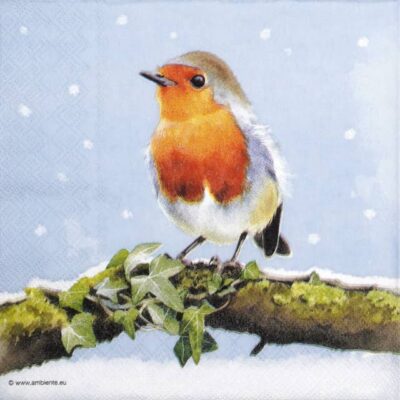 Cocktail Decoupage Napkin - Robin on branch