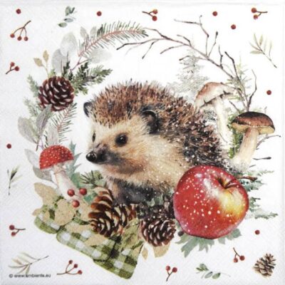 Paper Napkins - Spikey (20 pieces)