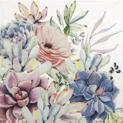 Single Paper Napkin - Succulent Love