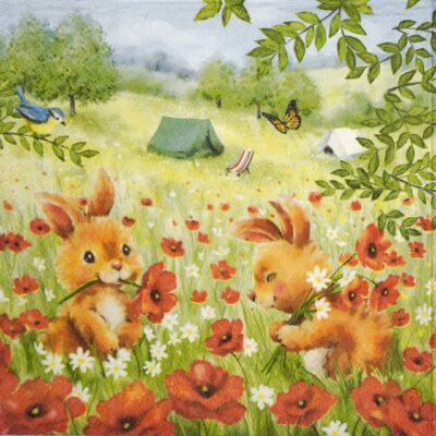 Single Decoupage Napkin - Summer Camp