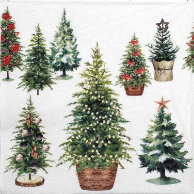 Single Decoupage Napkin - Tree collection