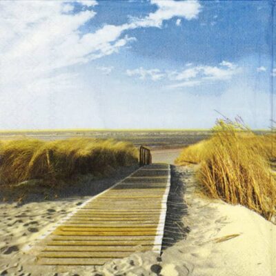 Single Decoupage Napkin - Walking to the Beach
