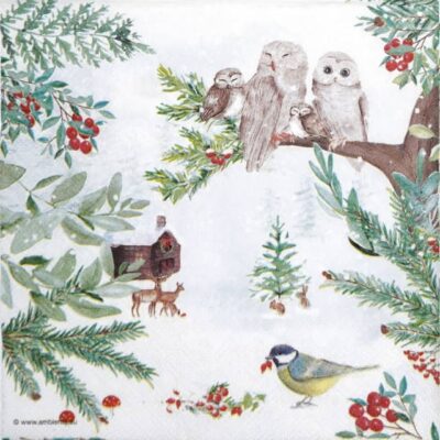 Paper Napkins - Winter outdoor (20 pieces)