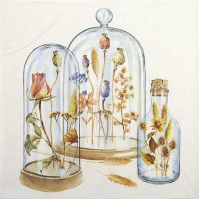 Single Paper Napkin - Potpourri Bell Jars