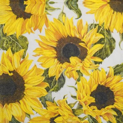 Paper Napkins - Sunflowers blossoming (20 pieces)