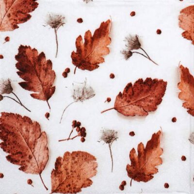 Close-up detail of the Soft Autumn decoupage napkin showing brown leaves and seed heads