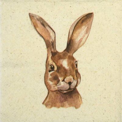 Cocktail Decoupage Napkin - Mr Rabbit