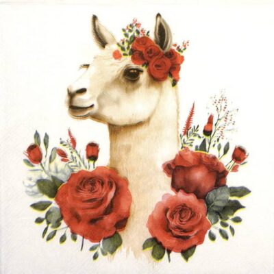 Single Decoupage Napkin - Mrs Llama