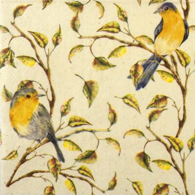 Single Decoupage Napkin - Birds in Nature