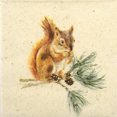 Cocktail Napkins - Nature Friend (20 pieces)