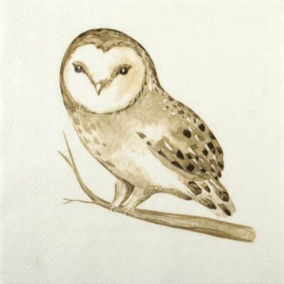 Single Decoupage Napkin - Winter Owl