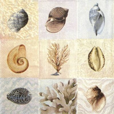 Paper Napkins - Beautiful Shells (20 pieces)