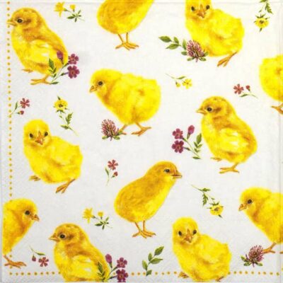 Single Decoupage Napkin - Chicks