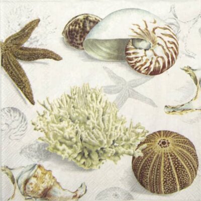 Paper Napkins - Clams at the Beach cream (20 pieces)