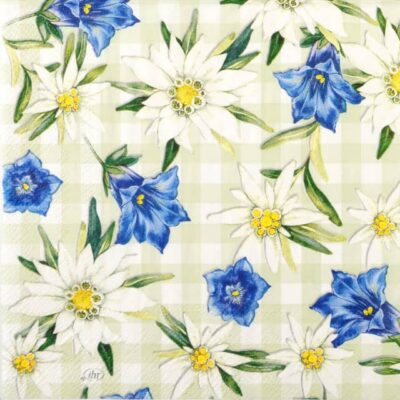 Single Decoupage Napkin - Edelweiss and Gentian light green