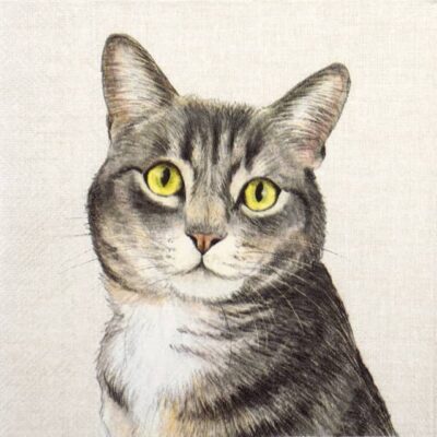 Single Decoupage Napkin - Farm Cat cream
