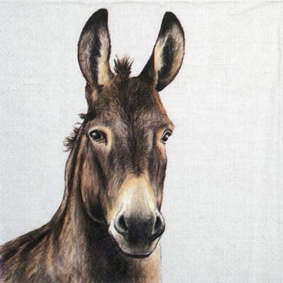 Single Decoupage Napkin - Farm Donkey cream