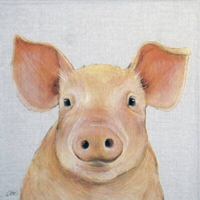 Single Decoupage Napkin - Farm Pig cream