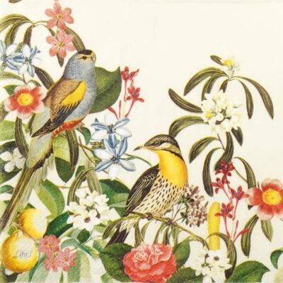 Paper Napkins - Jungle Birds cream (20 pieces)