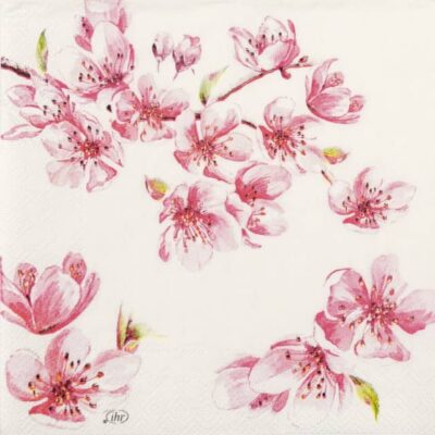 Single Decoupage Napkin - Sakura rose