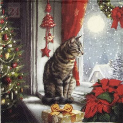 Single Decoupage Napkin - Silent Moment