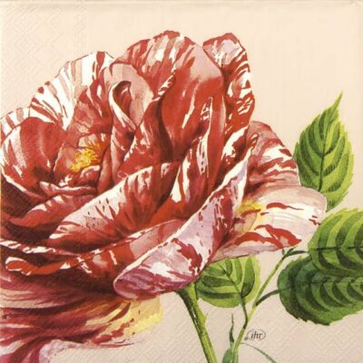 Paper Napkins - Charlotte rose (20 pieces)