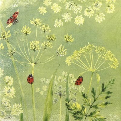 Single Paper Napkin - Ladybirds