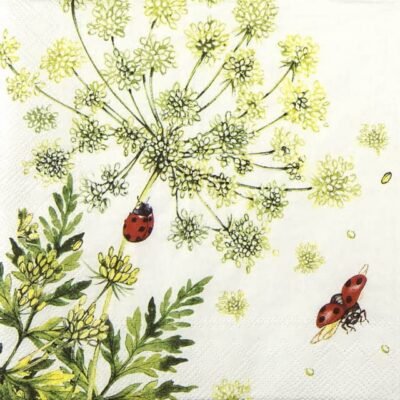 Cocktail Napkins - Ladybirds (20 pieces)