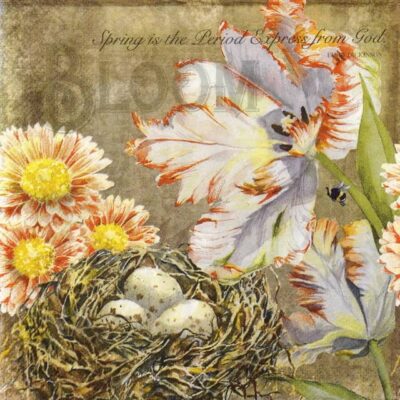 Paper Napkins - Augusta (20 pieces)