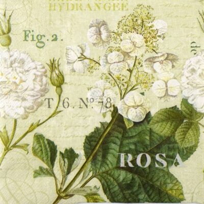Paper Napkins - Marissa light green (20 pieces)
