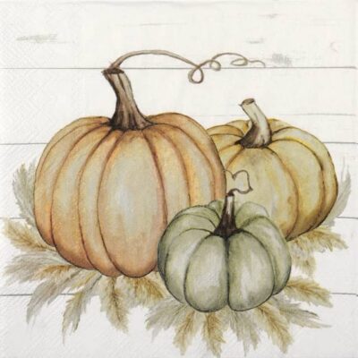 Pumpkin Trio Single Decoupage Napkin - 33x33cm