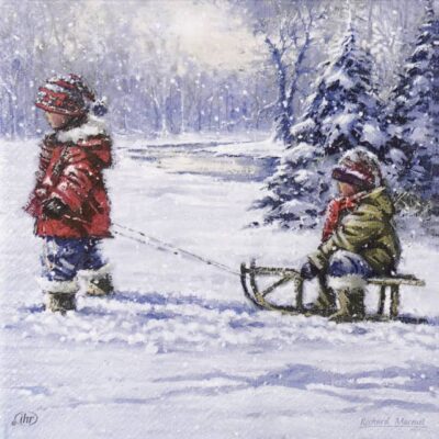 Paper Napkins - Winter Sleigh Ride (20 pieces)