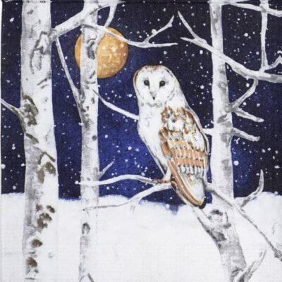 Cocktail Decoupage Napkin - Carola Pabst: Winter Owl