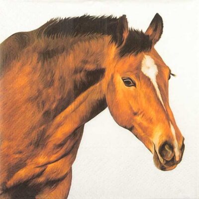 Paper Napkins - Horse Head (20 pieces)