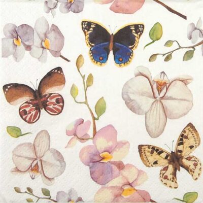 Single Paper Napkin - Orchidea Butterfly
