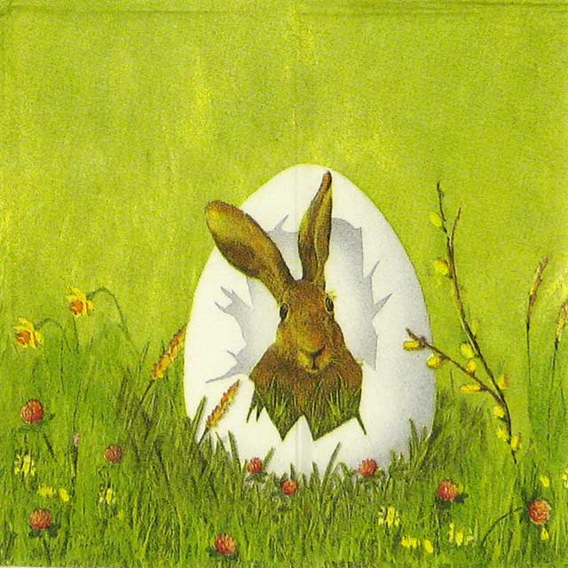 Handkerchiefs – Easter Outlook white