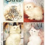 Rice Paper - Cats - 0142 (22 x 32cm)