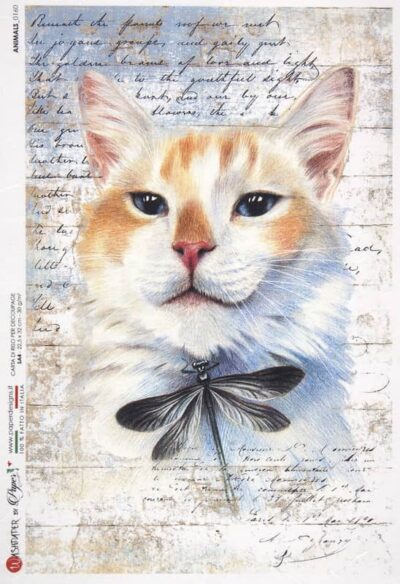 Rice Paper - Cat and Dragonfly - 0160 (22 x 32cm)