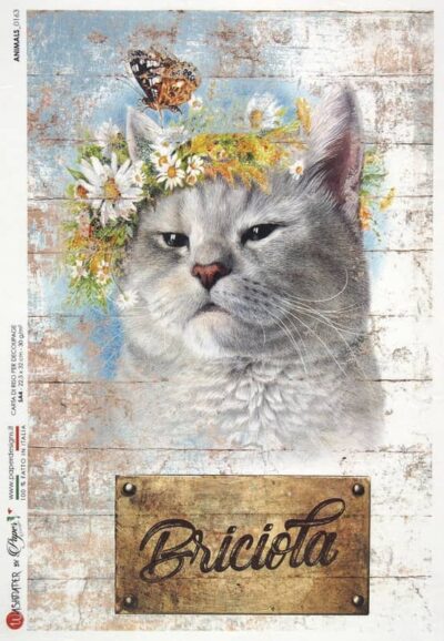 Rice Paper - Cat and Butterfly - 0163 (22 x 32cm)