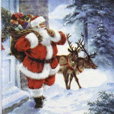 Lunch Napkins (20) - Santa is coming