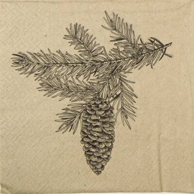 Paper Napkin - We care Cone
