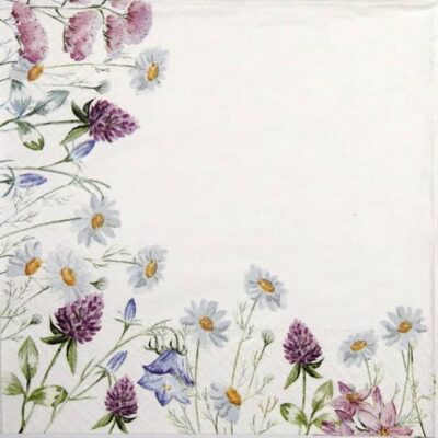 Lunch Napkins (20) - Spring Frame white